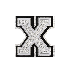 Budz | Silver Letter X