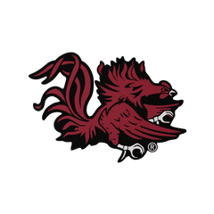 Budz | South Carolina Gamecocks