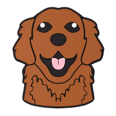 Budz | Retriever