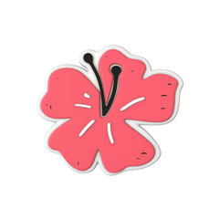 Budz | Summer Flower