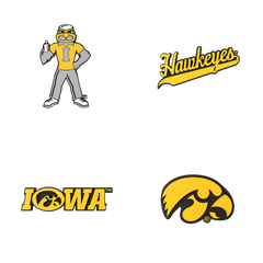 Budz | Iowa Hawkeyes | 4-Pack Bundle